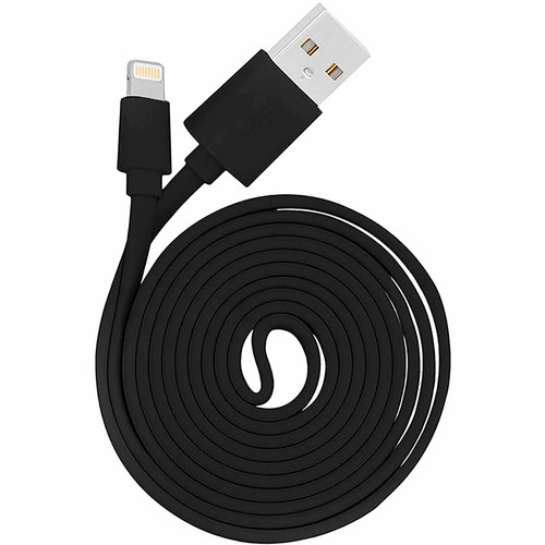 Blaupunkt - Câble de Charge Lightnin-USB Mâle, Charge Rapide, 1,2 m,Câble D'alimentation IOS, , Noir, Blaupunkt, BLP0215.133 Blaupunkt  - Blaupunkt