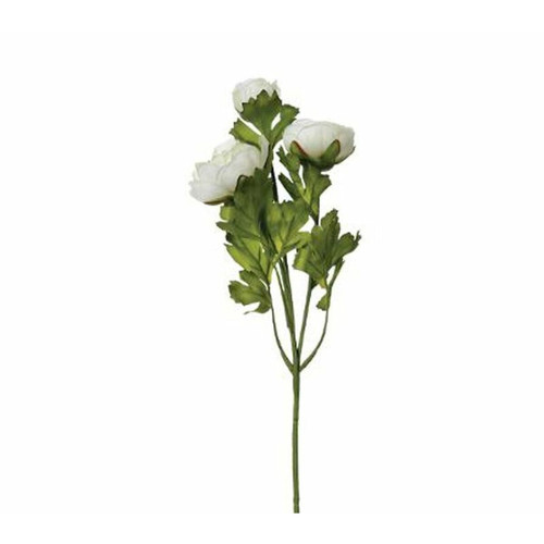But - Tige H. 60 cm RENONCULE Ivoire But - Plantes et fleurs artificielles