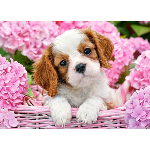Castorland - Pup in Pink Flowers, Puzzle 180 Teile - Castorland Castorland  - Castorland