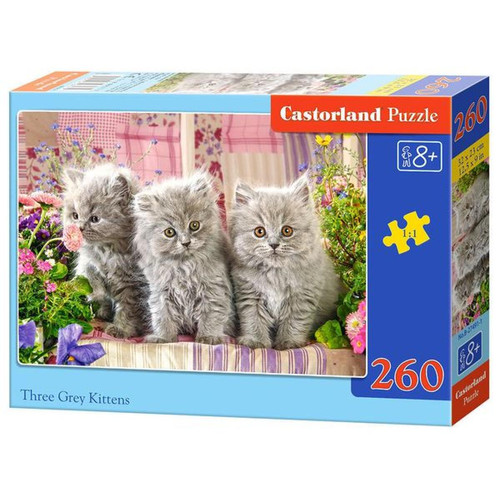 Castorland - Three Grey Kittens, Puzzle 260 Teile - Castorland Castorland  - Castorland