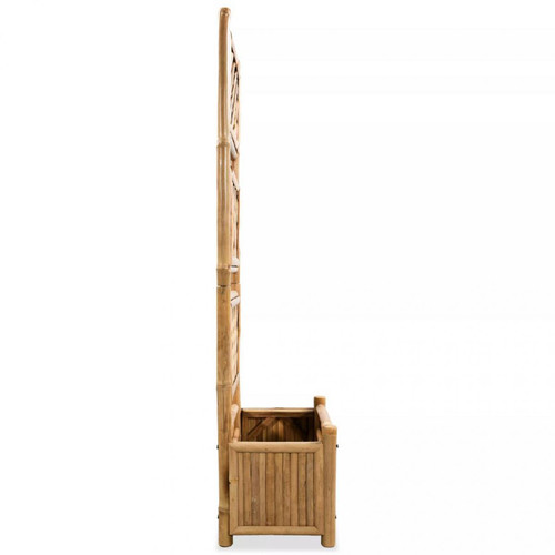 Chunhelife Lit surélevé de jardin avec treillis Bambou 40 cm