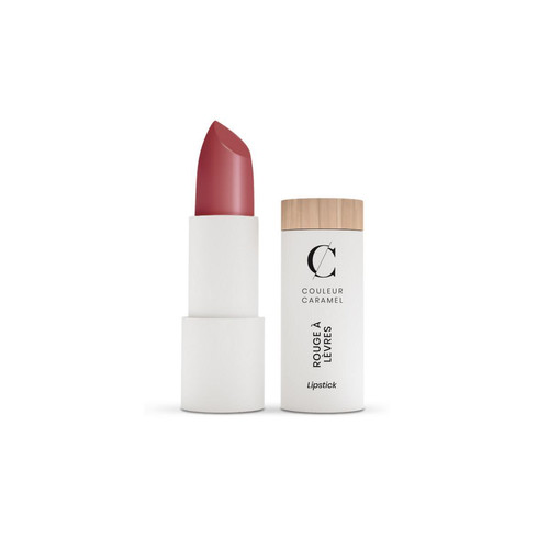Couleur Caramel - Rouge A Lèvres Satiné -  Terracotta - Maquillage