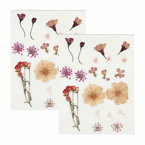 Creotime - 40 fleurs séchées et pressées - Rose clair Creotime  - Décoration
