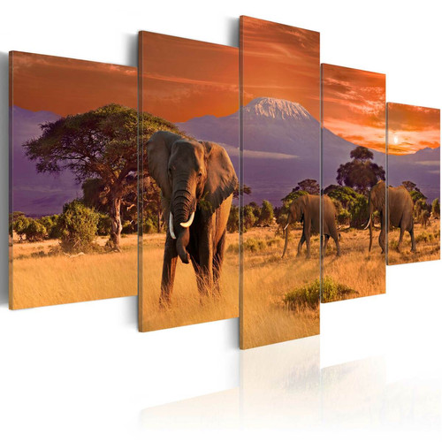 Decoshop26 - Tableau toile de décoration murale impression premium en 5 parties sur châssis en bois motif Afrique: éléphants 100x50cm 11_0014581 Decoshop26  - Toile elephant