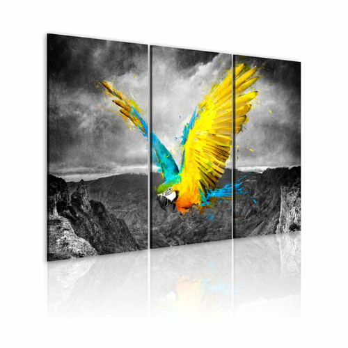 Decoshop26 - Tableau toile de décoration murale impression premium en 3 parties sur châssis en bois motif Oiseau de paradis 60x40cm 11_0014561 Decoshop26  - Décoration