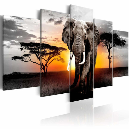 Tableaux, peintures Decoshop26 Tableau sur toile en 5 panneaux décoration murale image imprimée cadre en bois à suspendre Éléphant au coucher du soleil 200x100 cm 11_0003213