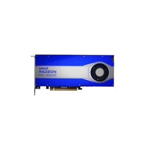 Dell - AMD Radeon Pro W6600 8GB 4DP (Precision 7920T 7820 5820 3650) (Kit) - Carte Graphique AMD 128 bit