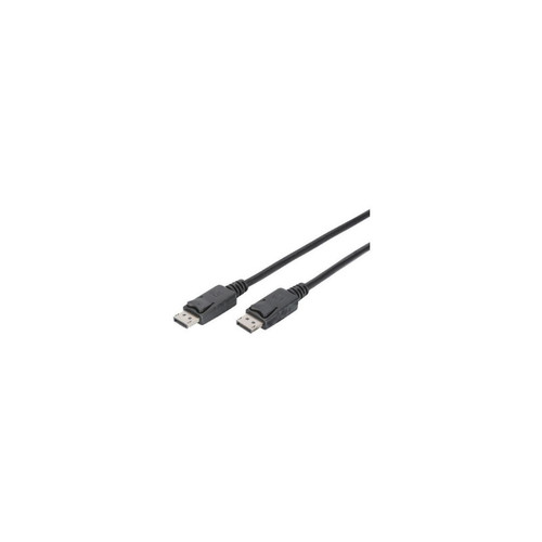 Digitus - DIGITUS Câble de connexion DisplayPort, mâle - mâle, 1,0 m () Digitus  - Adaptateur TNT Digitus