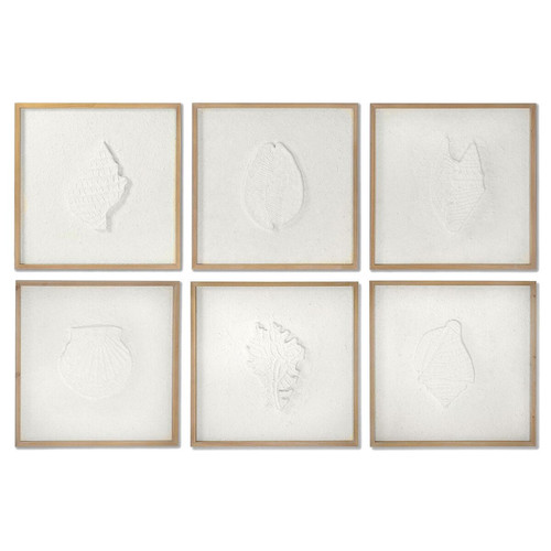 Tableaux, peintures DKD Home Decor Cadre DKD Home Decor Coquillages méditerranéen (6 Unités) (50 x 2 x 50 cm)