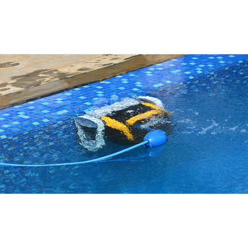 Robot de piscine électrique E20 - Dolphin Dolphin