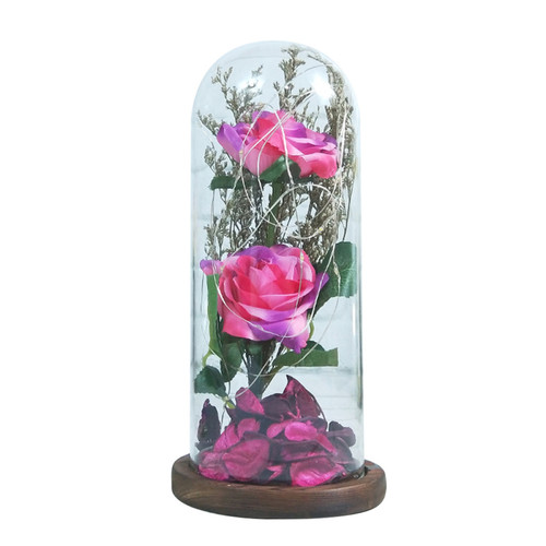 Elixir - Cadeau de vacances pour les femmes-roses dôme en verre brillant rouge Elixir  - Plantes artificielle