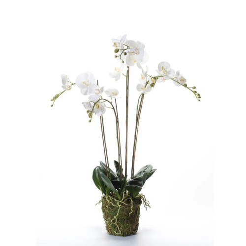 Emerald - Emerald Phalaenopsis artificiel avec mousse Blanc 90 cm 20.355 Emerald - Plantes et fleurs artificielles