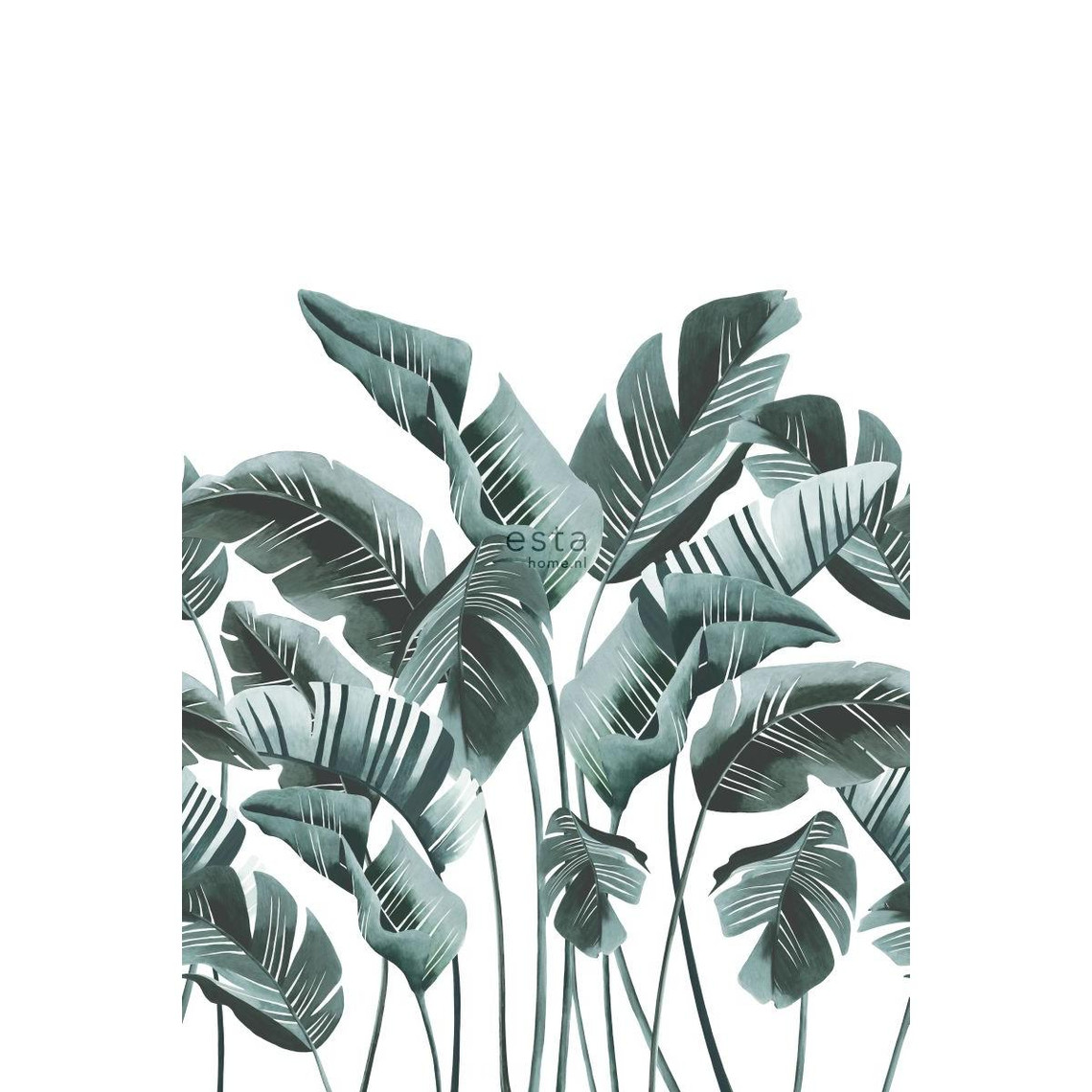 139014-0,53 x 10,05 m ESTAhome papier peint feuilles de bananier vert jade 