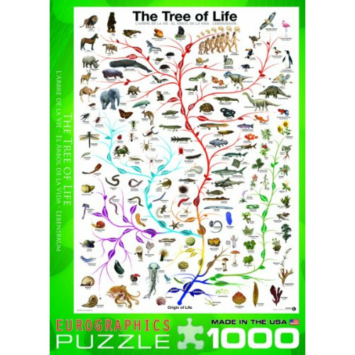 Animaux Eurographics Evolution LArbre de Vie Puzzle 1000 piAces Vert