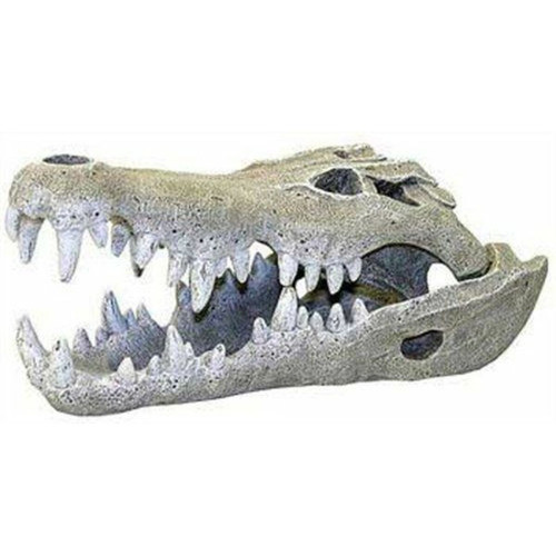 Eurovideo Vg - Rosewood Décor pour Aquarium Crâne de Crocodile du Nil Grand Eurovideo Vg  - Poissons