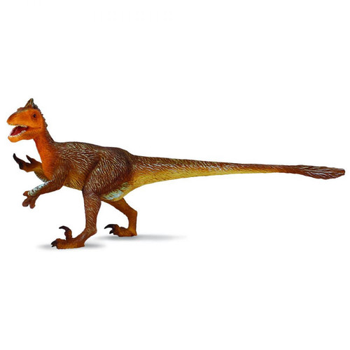 Figurines Collecta - Figurine Dinosaure : Utahrapt Figurines Collecta  - Dinosaures