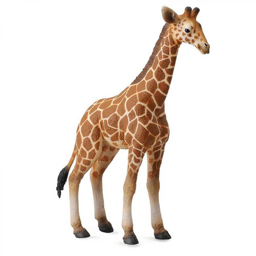 Figurines Collecta - Figurine Figurine bébé girafe Figurines Collecta  - Girafe animal