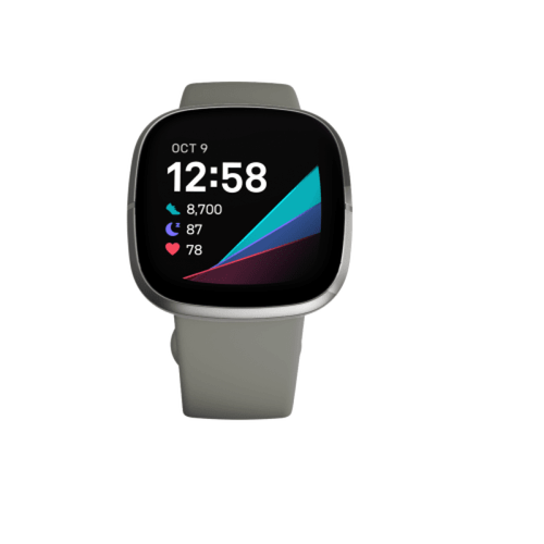 Fitbit FB512SRSG Montre Intelligente 1.58″ Bluetooth Synthetic IOS Android Gris Argent