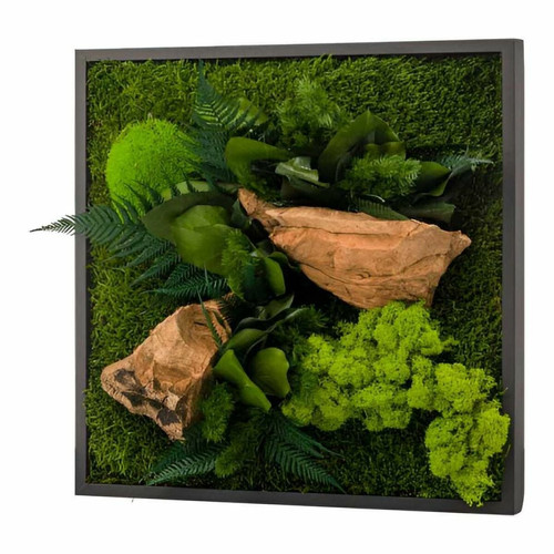 Flowerbox - Tableau végétal stabilisé canopé Carré. Flowerbox  - Flowerbox