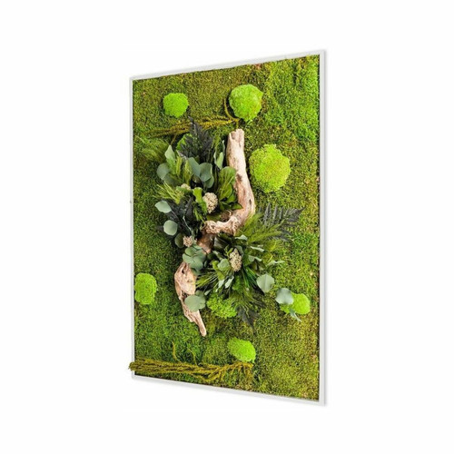 Flowerbox - Tableau végétal stabilisé nature Rectangle 40 x 90 cm. Flowerbox  - Tableau nature