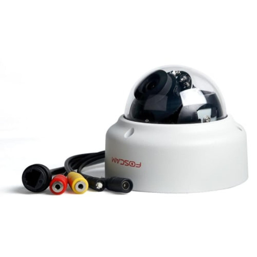 Foscam FOS D2EP Video Surveillance Intérieur et Extérieur Filaire Vision Nocturne Détection de Mouvement Blanc