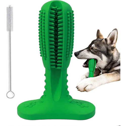 Generic - Brosse à dents de chien pour le nettoyage des dents de chien brosse à dents de soins dentaires pour animaux de compagnie pour petits chiens de race moyenne chiot chien jouets à mâcher Generic  - Races de petits chiens
