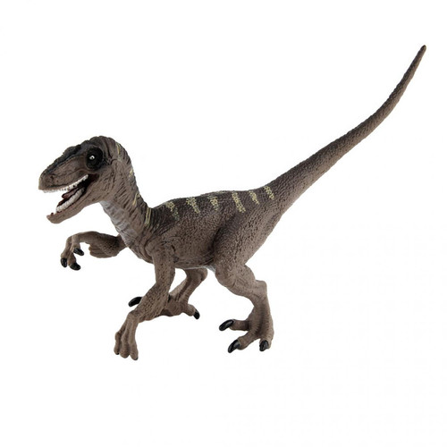 Generic - Modèle éducatif de dinosaure simulé enfants enfants jouet cadeau @7e Edition10 Generic  - Jeux de société Generic