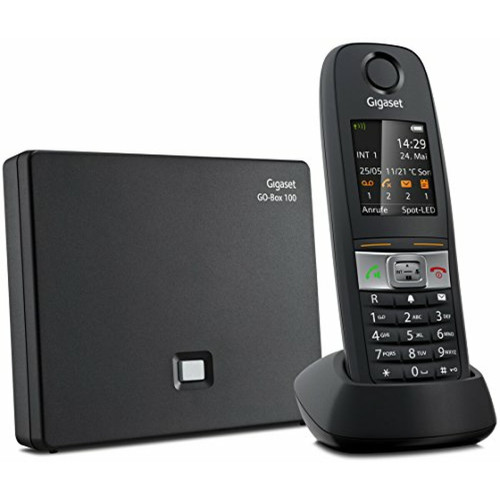 Téléphone fixe sans fil Gigaset E630A GO Téléphones Sans fil Répondeur Ecran [Produit d'import]