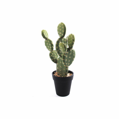 Plantes et fleurs artificielles Heart Of The Home Cactus artificiel - H. 26 cm - Noir