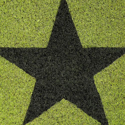 Helloshop26 Paillasson tapis de sol porte d’entrée essuie-pieds étoiles fibres de coco vert 13_0001827_3
