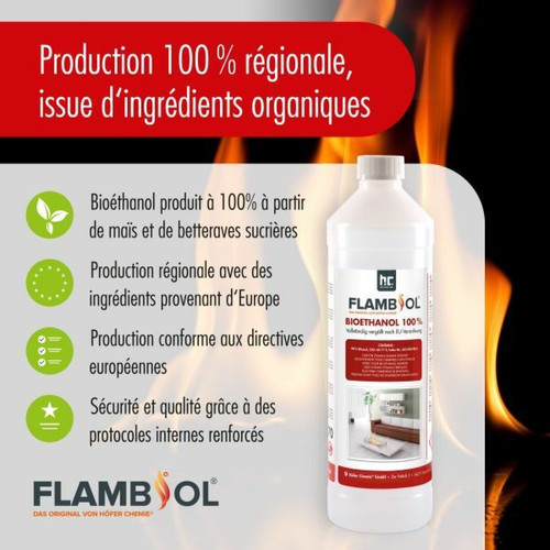 Hoefer Chemie 120 L Bioéthanol à 100% dénaturé en bouteilles de 1 l (120 x 1 Litre)