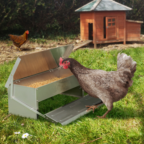 Idmarket - Mangeoire XL pour poules distributeur automatique à pédale en acier 5 Idmarket  - Mangeoire pour oiseaux du ciel