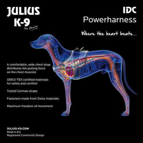 Inconnu Julius-K9 IDC-Power Harnais pour Chien Bleu Aquamarine Taille 1