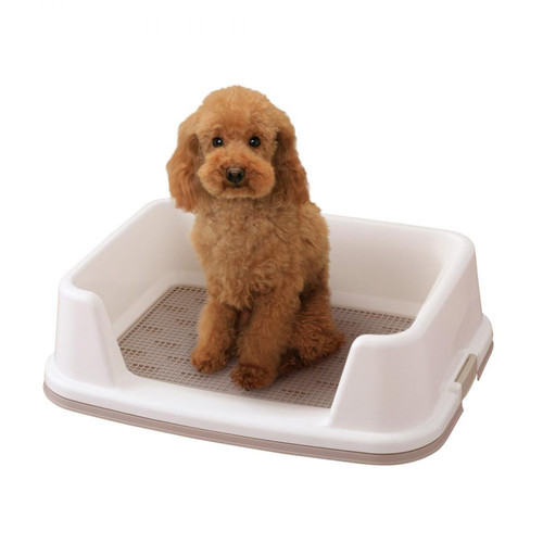 Accessoires toilettage pour chien Iris Ohyama Dog Toilettrt-500 Beige Pour Chien