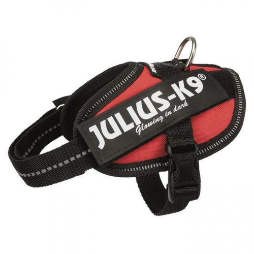 Julius K9 - JULIUS K9 Harnais Power IDC Baby 2-XS-S : 33-45 cm - 18 mm - Rouge - Pour chien Julius K9  - Harnais chien