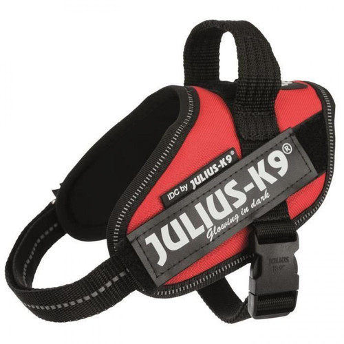 Julius K9 - JULIUS K9 Harnais Power IDC Mini-Mini-S : 40-53 cm - 22 mm - Rouge - Pour chien Julius K9  - Julius K9