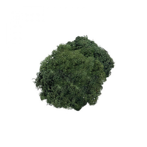 Knorrtoys - KNORR prandell Mousse islandaise, 50 g, vert sapin () Knorrtoys  - Knorrtoys