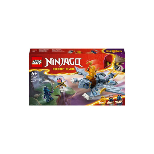 Lego - LEGO® Ninjago® 71810 Le jeune dragon Riyu Lego  - LEGO Ninjago Briques Lego