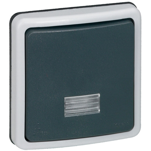 Legrand - bouton poussoir lumineux - legrand plexo 66 - gris - composable Legrand  - Bouton interrupteur