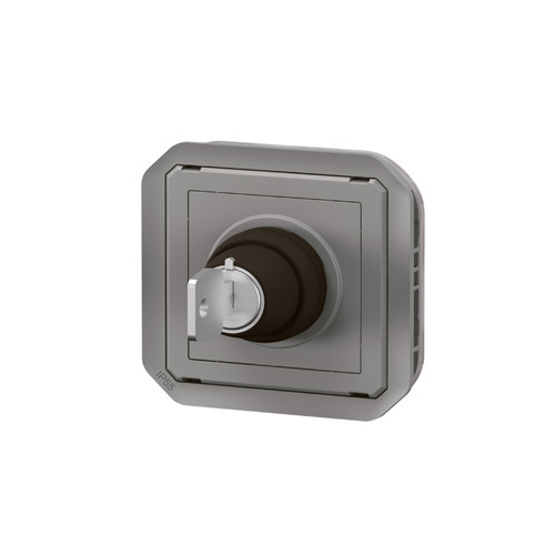 Interrupteurs et prises étanches Legrand interrupteur à clé - ronis - 2 positions - gris - composable - legrand plexo 069534l