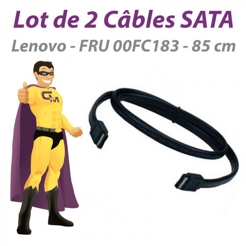 Lenovo - Lot 2 Câbles SATA Lenovo FRU 00FC183 85cm Noirs Lenovo   - Lenovo