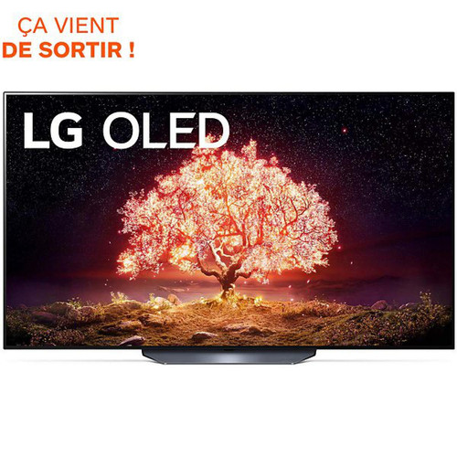 LG - Téléviseur 4K Smart 65" 164 cm LG OLED65B16LA - TV, Télévisions 4k uhd