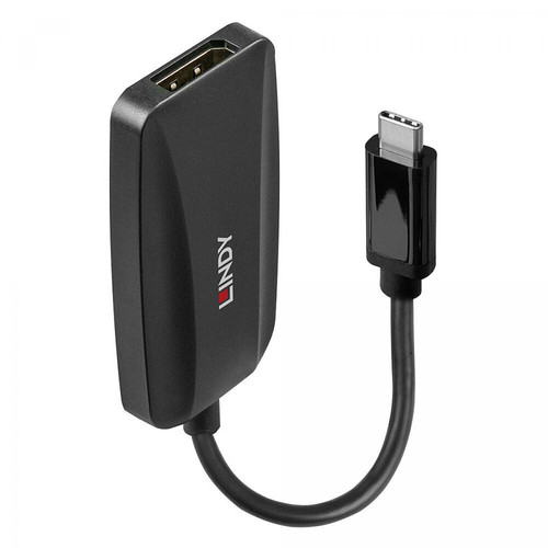 Câble antenne Lindy Convertisseur USB Type C vers DisplayPort 1.4