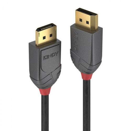 Lindy - LINDY Câble DisplayPort 1.2 - Anthra Line - 5m Lindy  - Câble et Connectique