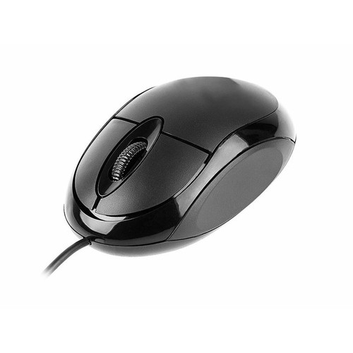 marque generique - Tracer TRAMYS45906 souris USB Optique 800 DPI Droitier (Mouse wired optical TRACER Neptun USB) marque generique  - Souris