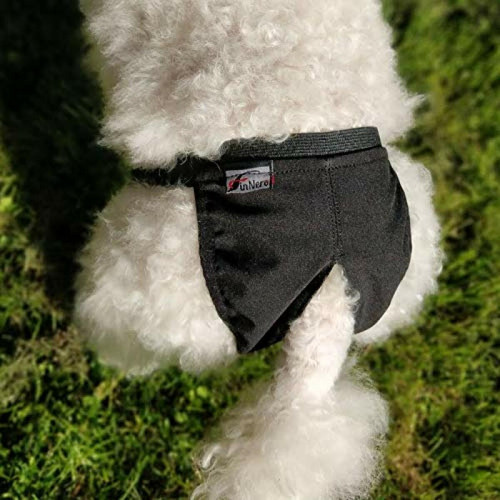 marque generique - FinNero Basic LA Chaleur Pantalon pour Chien, XXS marque generique  - Vêtement pour chien