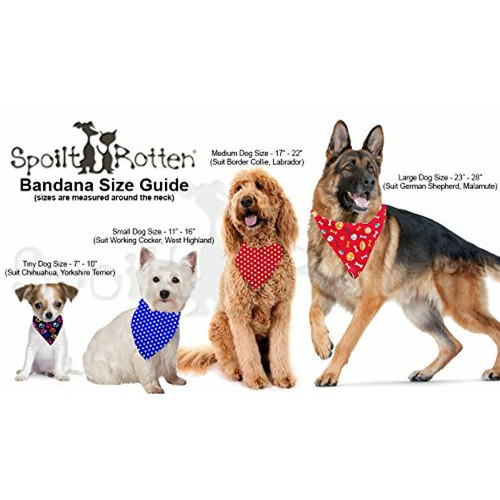 Vêtement pour chien Spoilt Rotten Pets (S2 Rouge Mazda Bongo Friendee, Bongo Bonzo Dog Bandana (Small, Rouge)