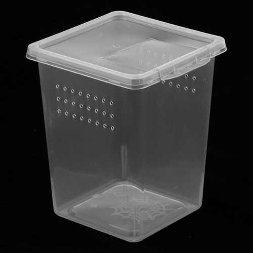 marque generique Boîte D'élevage D'araignées Container Case Hatching Tank 8x8x11cm 8Pcs