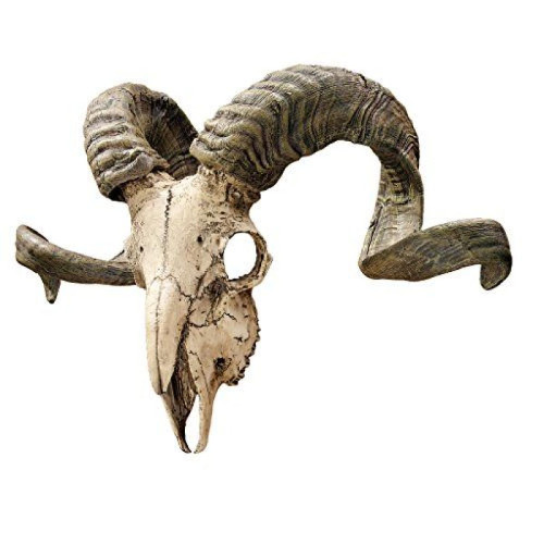 marque generique - Design Toscano Trophée mural crâne de bélier corse avec ses cornes CL3377 Multicolore 18 x 47 x 29 cm marque generique  - Petite déco d'exterieur
