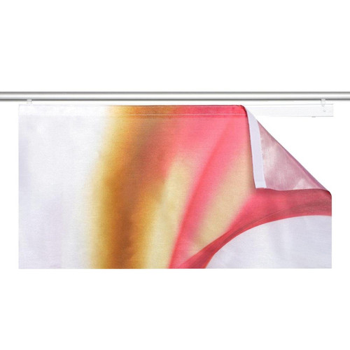 Store compatible Velux Home Fashion 87603-703 Redfield Panneau Japonais Polyester Gris 245 x 60 cm